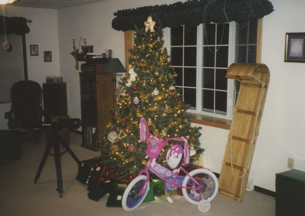 Ott, Mark, Iowa, bike, Denver, IA, living room, Homes, christmas, Holidays, history of Iowa, christmas tree, Iowa History, sled