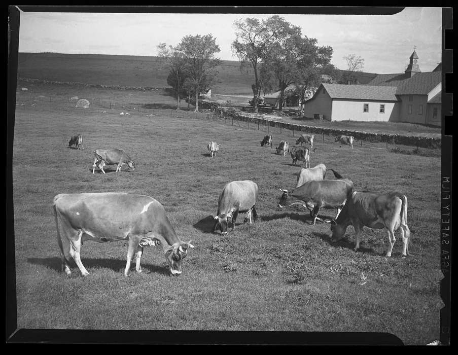 Iowa History, Iowa, Storrs, CT, Archives & Special Collections, University of Connecticut Library, history of Iowa