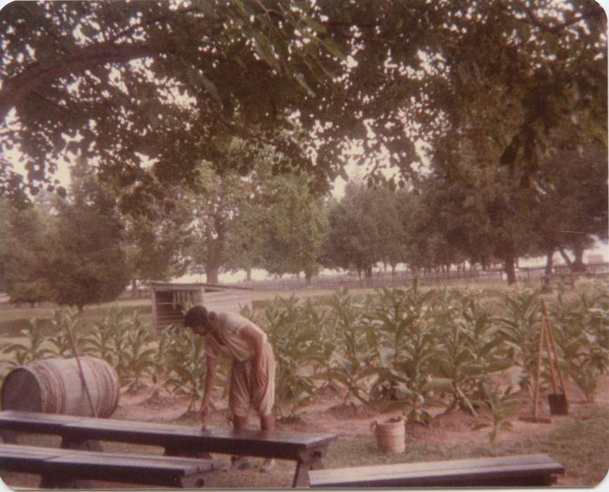 Becker, Alfred, Iowa History, Iowa, field, crops, IA, Farms, farm, history of Iowa