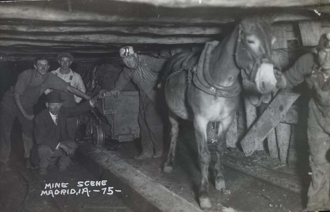 underground, history of Iowa, Iowa History, Businesses and Factories, Animals, mule, mine, mining, Iowa, Witt, Bill, correct date needed, Madrid, IA, Labor and Occupations