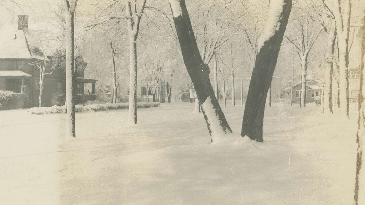 history of Iowa, houses, Landscapes, Waverly Public Library, snow, snowy trees, Iowa, Winter, Iowa History, correct date needed, Cities and Towns