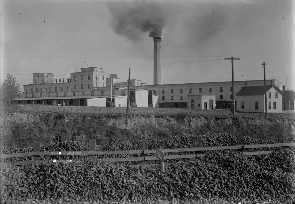 history of Iowa, Iowa History, Businesses and Factories, Waverly Public Library, Iowa