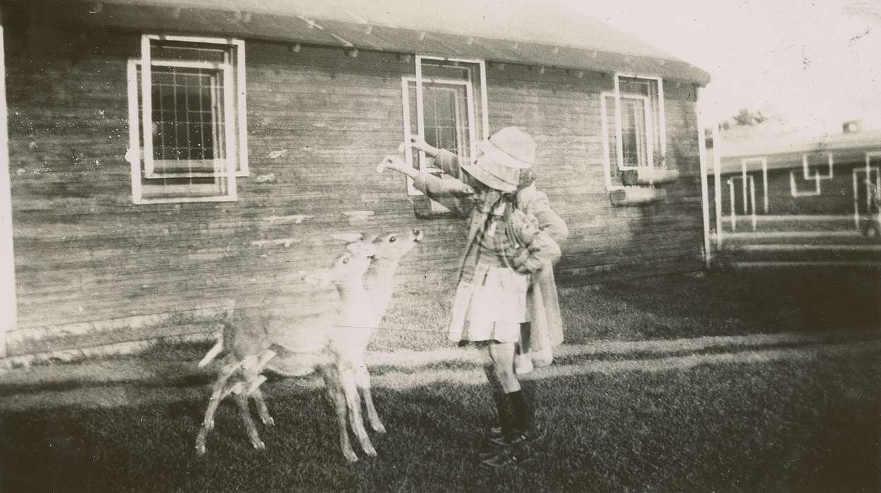 history of Iowa, Iowa History, Hampton, IA, Barns, Animals, Iowa, Beach, Rosemary, Farms, deer, Children