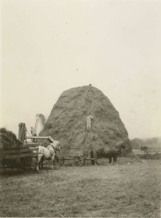 Farming Equipment, history of Iowa, hay bail, Iowa History, Animals, Tucker, Rose, Iowa, Farms, Dubuque County, IA, ladder, horses