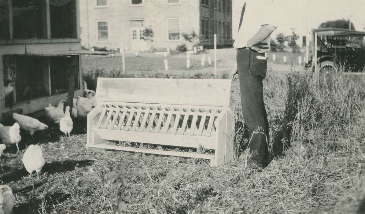 history of Iowa, Farms, chicken coop, McMurray, Doug, Animals, Iowa, chickens, Webster City, IA, Iowa History