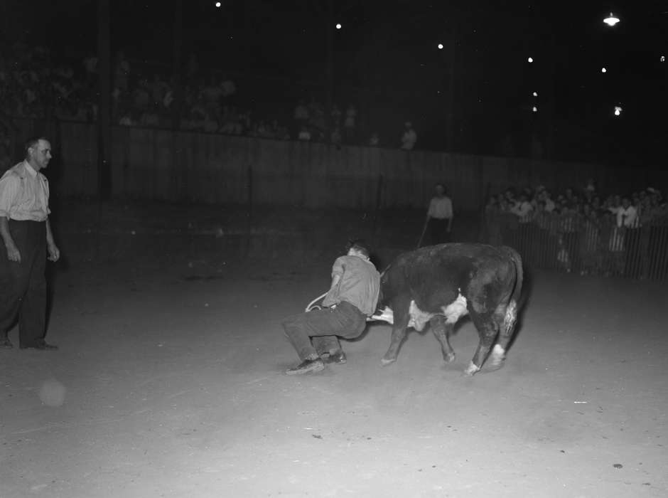 agriculture, history of Iowa, Iowa History, Entertainment, Families, competition, calf, Library of Congress, Animals, fairground, Fairs and Festivals, Iowa, Children