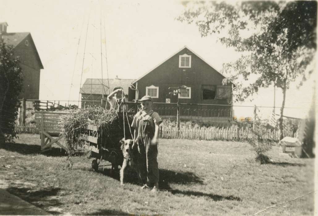 Animals, Iowa History, Iowa, cart, dog, Farms, Dubuque County, IA, Tucker, Rose, Children, history of Iowa