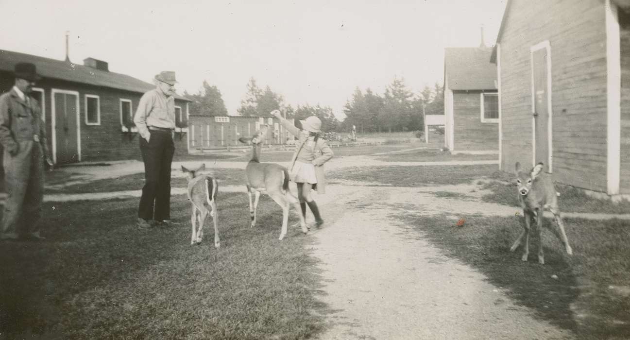 Animals, Children, Iowa History, Iowa, Hampton, IA, deer, Barns, Beach, Rosemary, history of Iowa