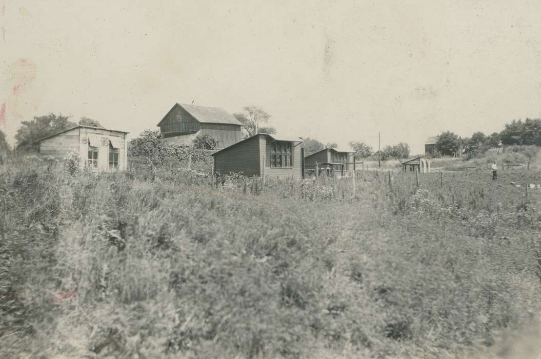 history of Iowa, Iowa, Iowa History, Farms, Webster City, IA, McMurray, Doug, chicken coops