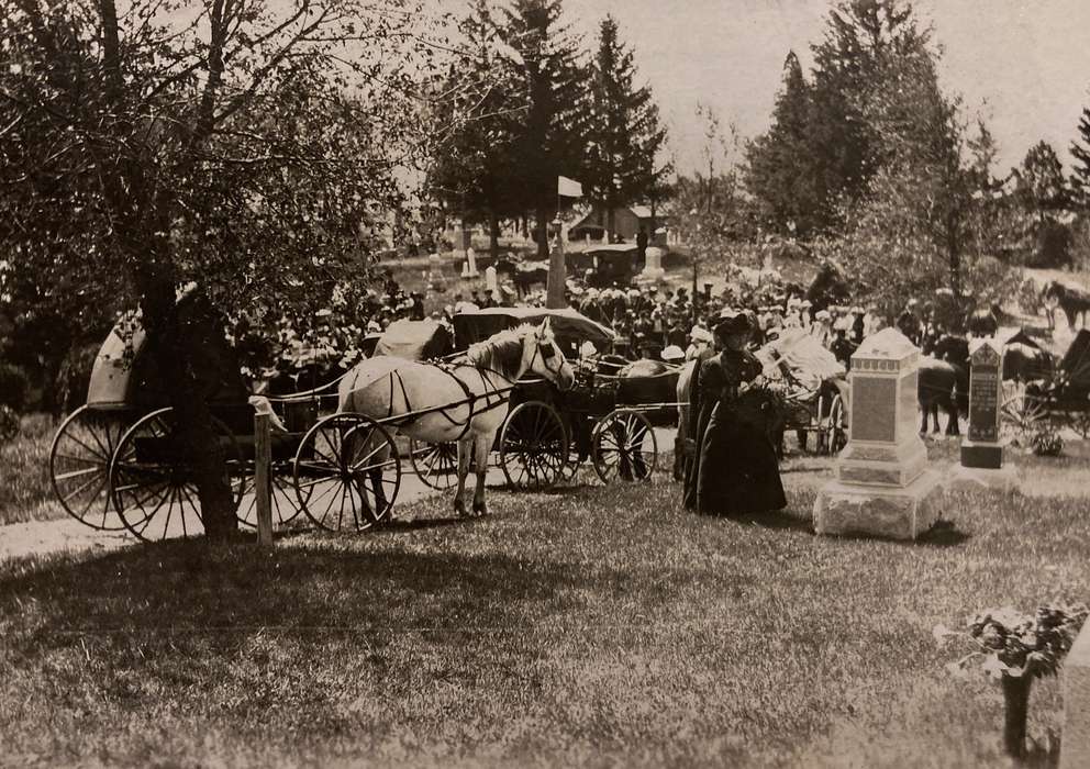 IA, Iowa, Animals, Witt, Bill, horse, flag, history of Iowa, Civic Engagement, horse carriage, can't confirm date and or location, Iowa History, Cemeteries and Funerals