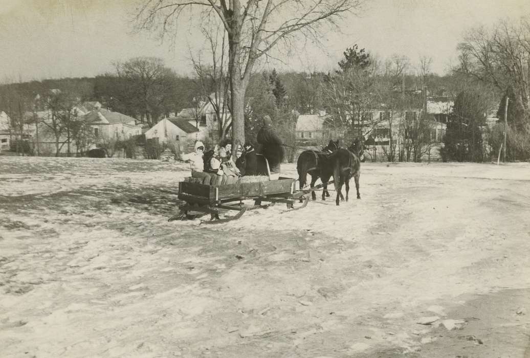 history of Iowa, Iowa History, Winter, Animals, Waverly, IA, sleigh, Iowa, Outdoor Recreation, Hospitals, correct date needed, horse, Waverly Public Library