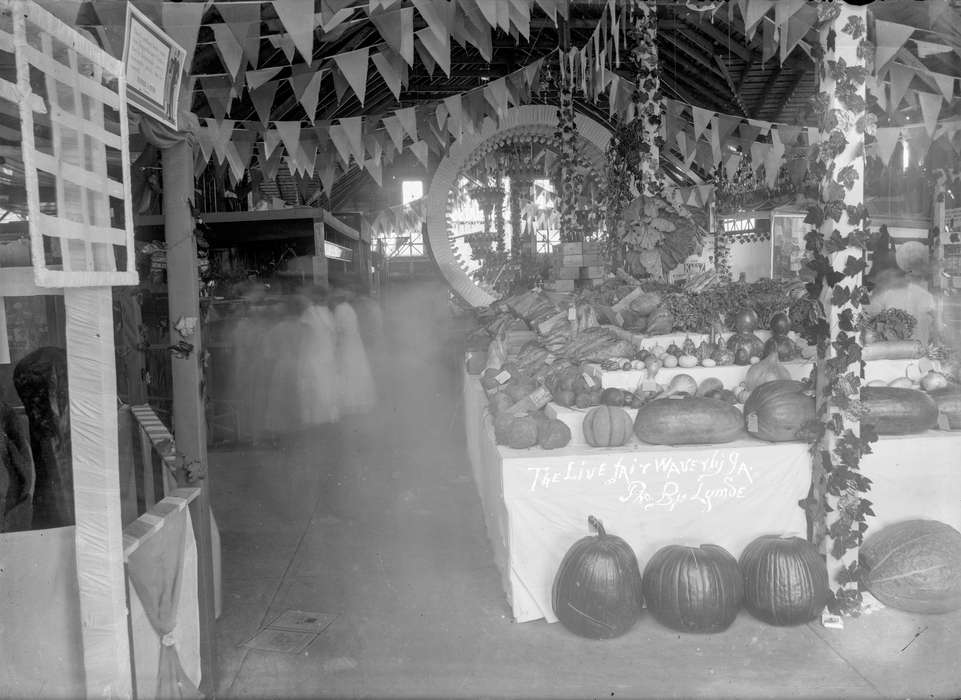 Fairs and Festivals, history of Iowa, pumpkin, Iowa History, Iowa, squash, Waverly Public Library