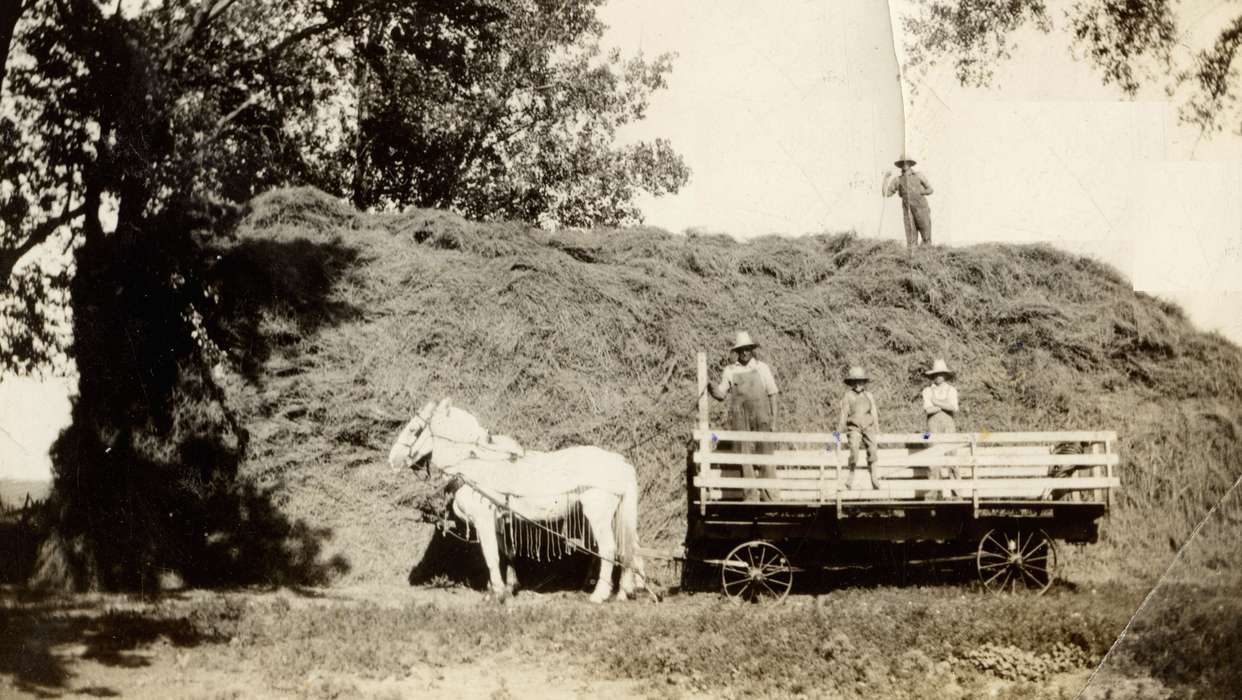 Portraits - Group, Animals, wagon, Iowa History, Iowa, harvest, Labor and Occupations, horse, Schlichtmann, Linda, Farms, Cedar Falls, IA, history of Iowa