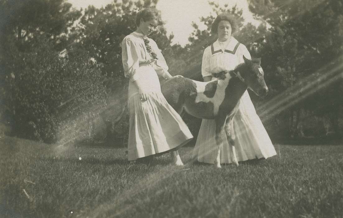 Portraits - Group, history of Iowa, women, foal, Iowa History, Animals, Fairbank, IA, Iowa, Olsson, Ann and Jons, horse, post card, women's necktie
