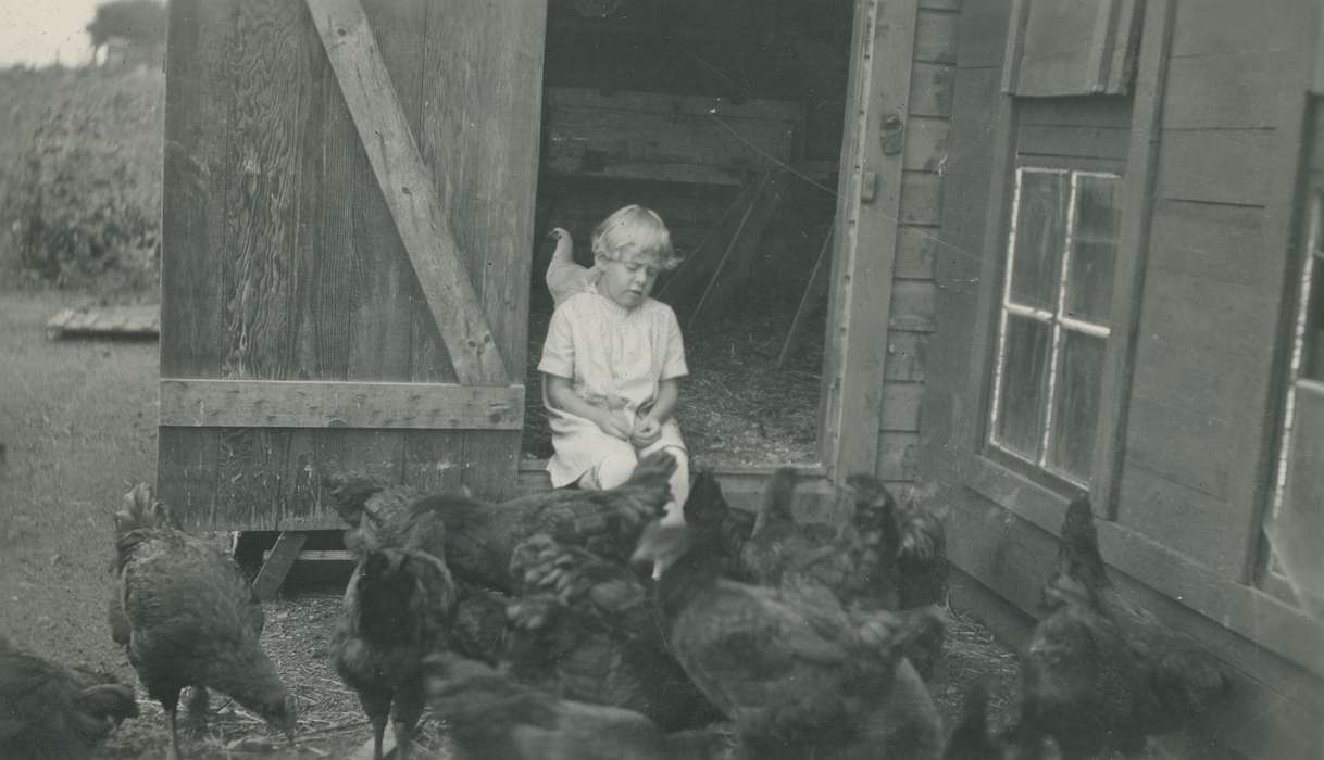 history of Iowa, Farms, McMurray, Doug, Animals, Iowa, chickens, Children, Webster City, IA, Iowa History