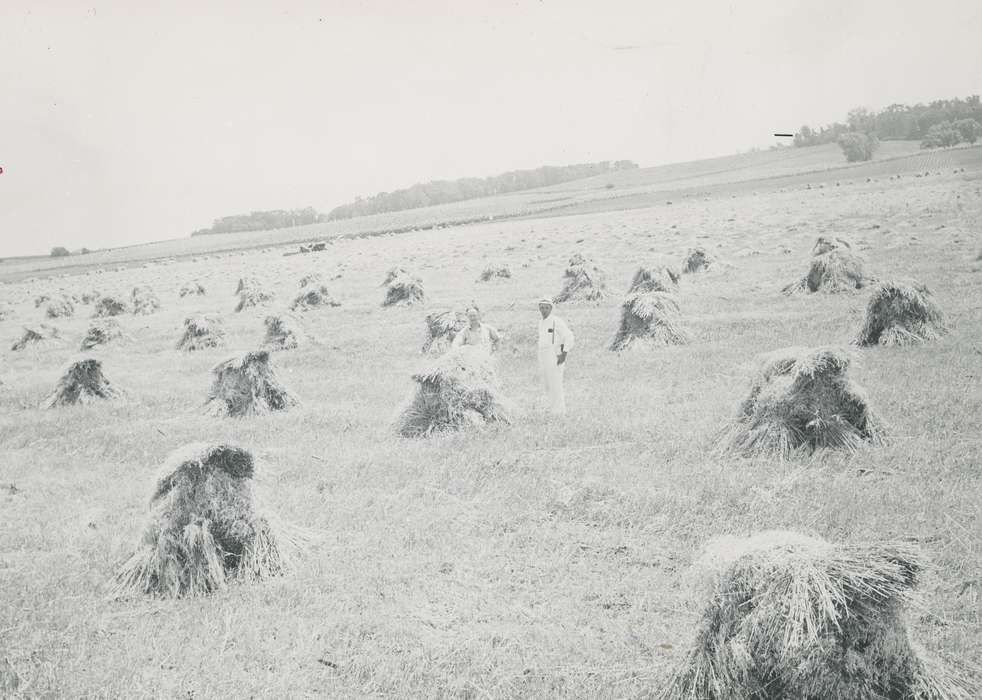 farmer, history of Iowa, Iowa History, field, Waverly, IA, Iowa, Farms, correct date needed, oats, Waverly Public Library