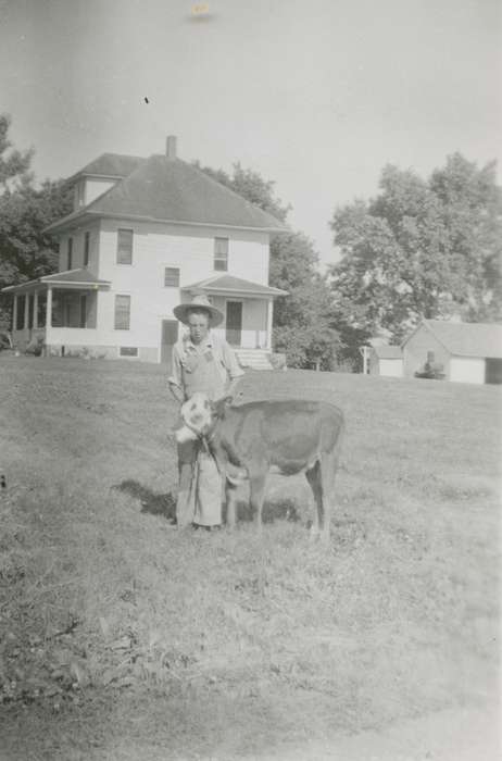 Ellsworth, IA, Tuttle, Kevin, history of Iowa, Iowa History, calf, Animals, Iowa, cow, Homes, Children, Farms