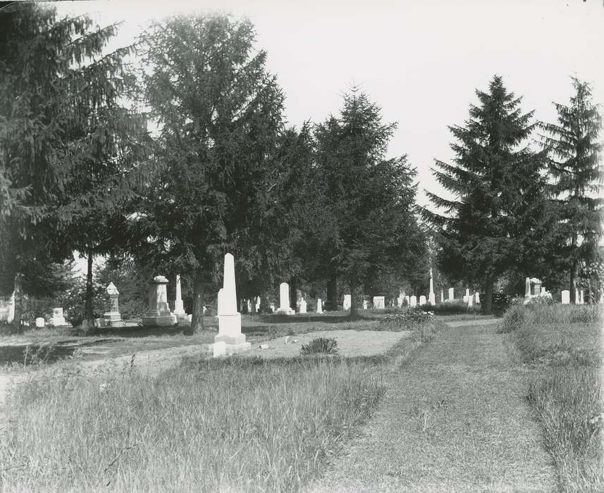 harlington, nature, Cemeteries and Funerals, tombstone, Iowa History, history of Iowa, graves, trees, Waverly, IA, Iowa, cemetery, Waverly Public Library