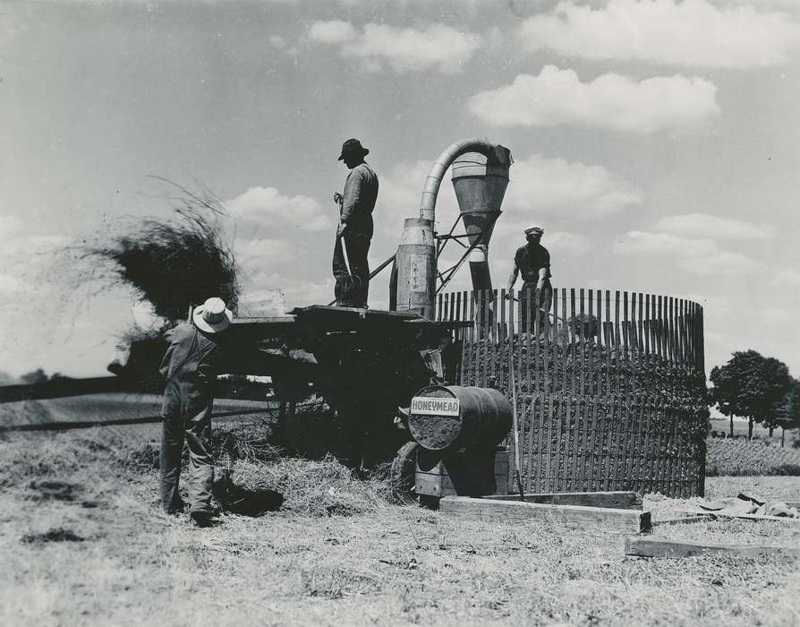 farmer, Farming Equipment, silage, Iowa History, history of Iowa, crib, Waverly, IA, Iowa, Farms, correct date needed, Waverly Public Library, Labor and Occupations
