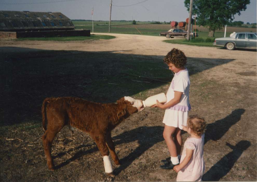 Glaser, Joseph, history of Iowa, Iowa History, calf, Families, bottle, Motorized Vehicles, Animals, girls, car, New Hampton, IA, Iowa, milk bottle, Farms, Children, Leisure, milk