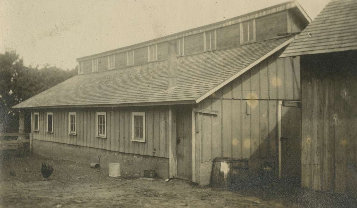 Macey, IA, chicken coop, Iowa, Animals, Barns, history of Iowa, Farms, chicken, Iowa History, Mortenson, Jill