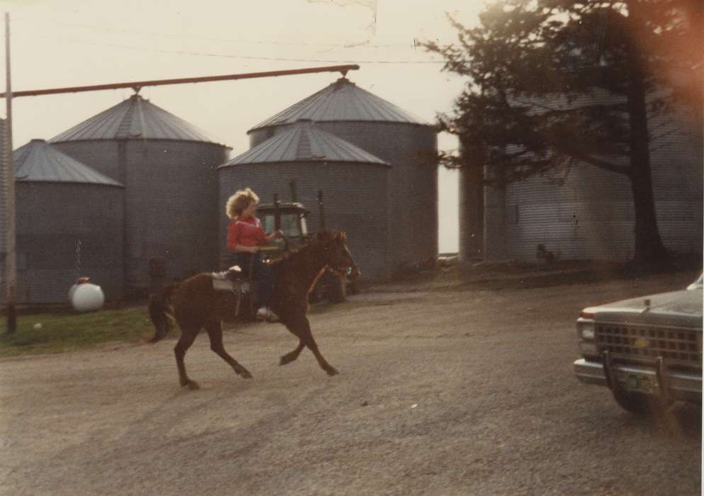 Animals, Iowa History, Iowa, Speltz, Mark, New Hampton, IA, chevy, horse, horseback, Farms, Outdoor Recreation, history of Iowa, ride