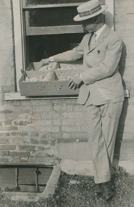 chicks, history of Iowa, Iowa History, Webster City, IA, Animals, Iowa, McMurray, Doug, Portraits - Individual