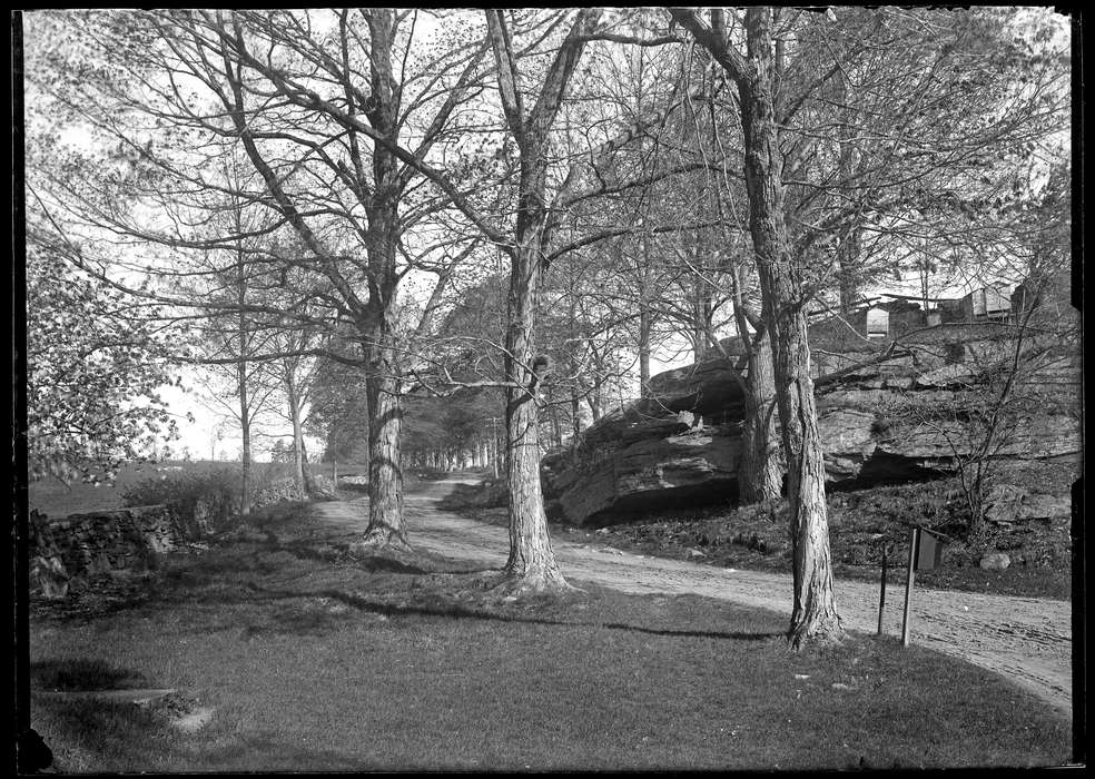 history of Iowa, Iowa History, road, Spring Hill, CT, Archives & Special Collections, University of Connecticut Library, Iowa, tree, dirt