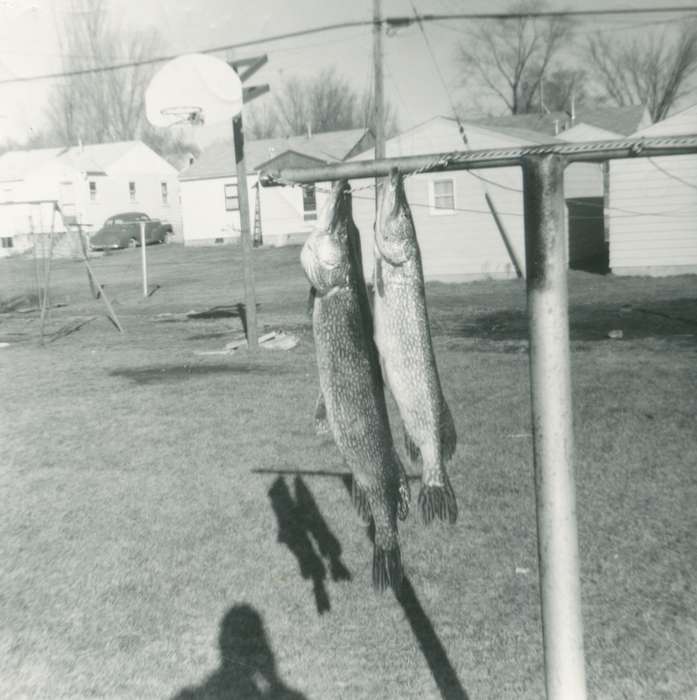 history of Iowa, Iowa History, Wagner, Brian, pike, fish, Iowa, Outdoor Recreation, Waterloo, IA