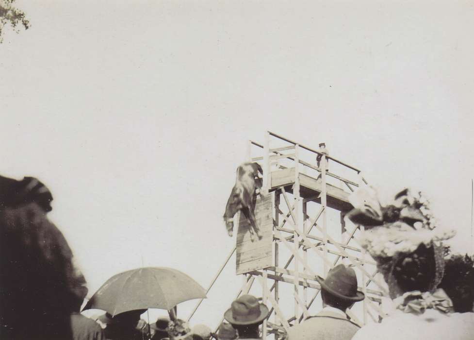 correct date needed, falling, Iowa, Animals, Fairs and Festivals, horse, umbrella, Entertainment, Anamosa, IA, Hatcher, Cecilia, history of Iowa, Iowa History