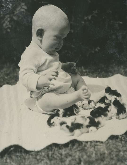 Animals, Iowa History, Iowa, baby, chicks, McMurray, Doug, Webster City, IA, Children, history of Iowa