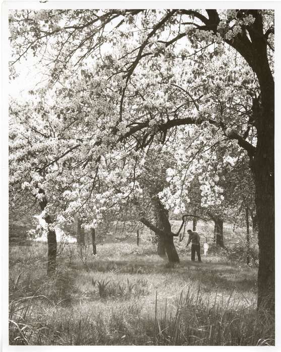 Hampton, CT, Iowa History, Archives & Special Collections, University of Connecticut Library, Iowa, history of Iowa
