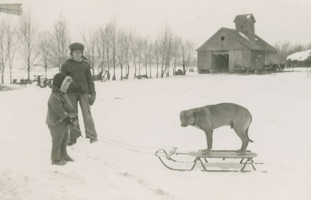 Iowa History, Children, Iowa, Farms, history of Iowa, Breja, Janice, Animals, Outdoor Recreation, dog, Winter, IA, sled