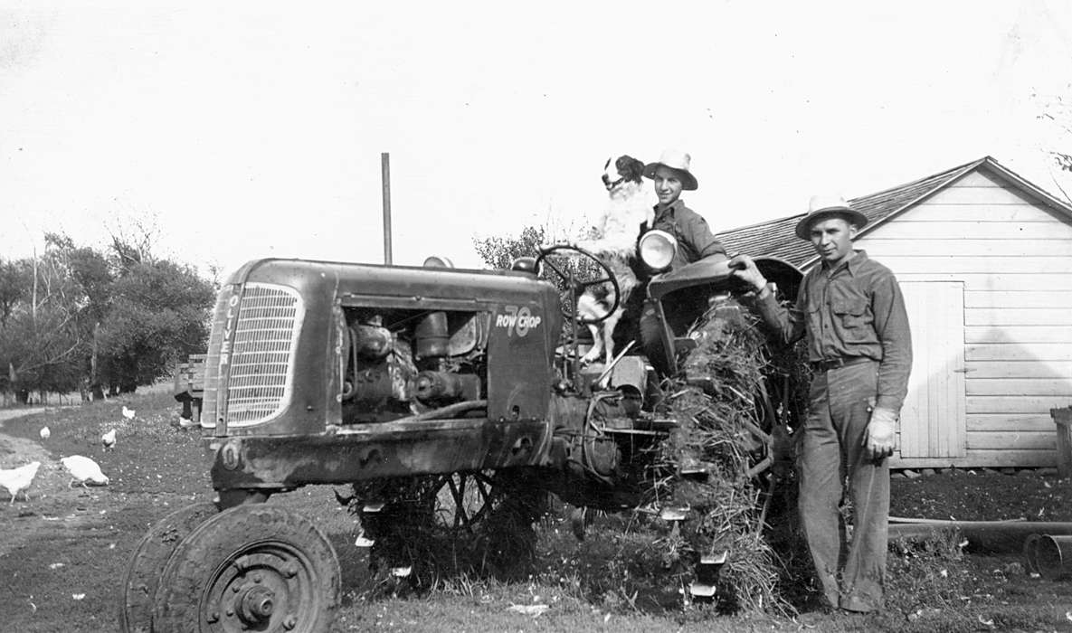 tractor, Farming Equipment, Iowa History, Iowa, Farms, history of Iowa, Johnson, JB, Duncan, IA, Animals, dog