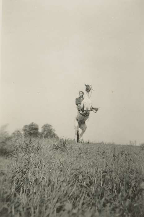 Outdoor Recreation, West Union, IA, Iowa, Animals, Fink-Bowman, Janna, history of Iowa, Iowa History