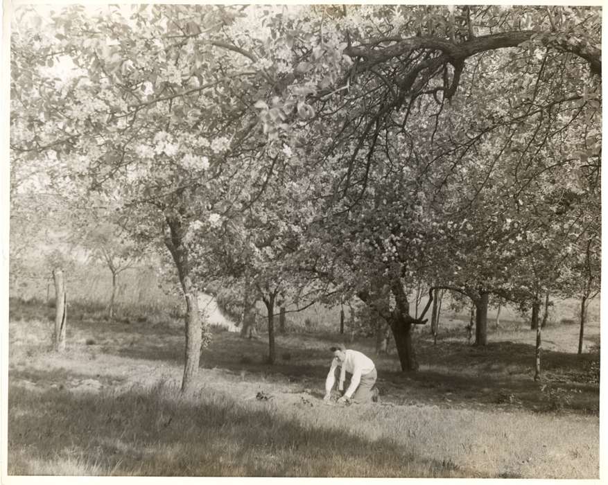 Hampton, CT, Iowa History, Archives & Special Collections, University of Connecticut Library, Iowa, history of Iowa