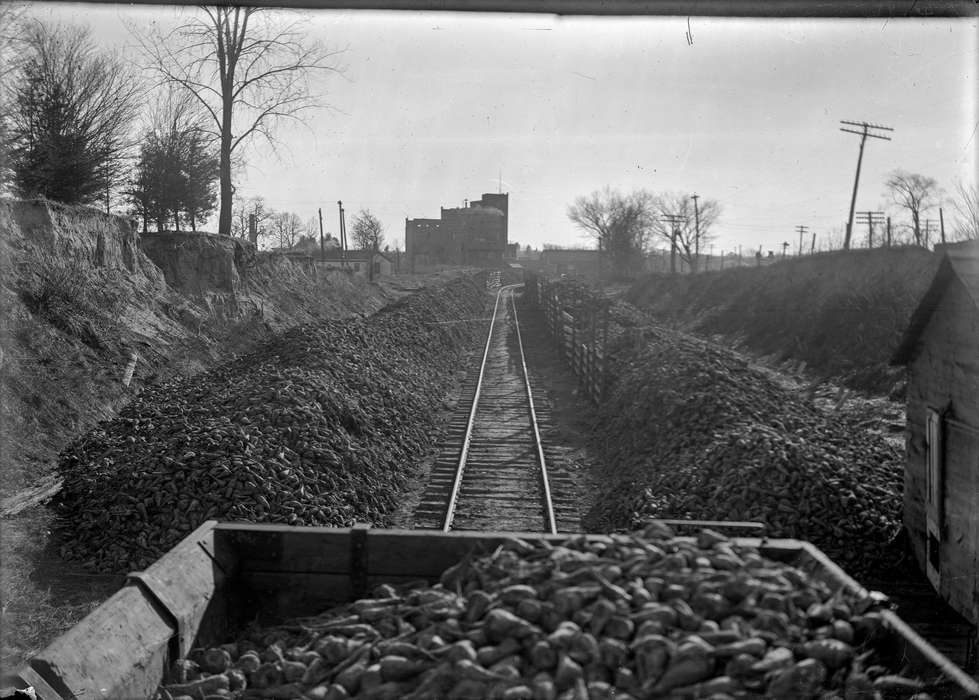history of Iowa, Iowa History, Iowa, coal, Businesses and Factories, Waverly Public Library