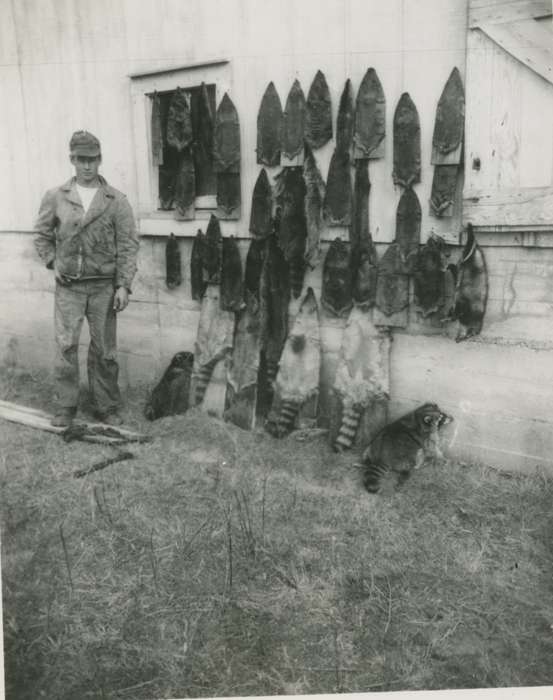 history of Iowa, Portraits - Individual, Iowa History, pelts, Fredonia, IA, McVey, Michael and Tracy, Iowa, Outdoor Recreation, hunting, raccoon