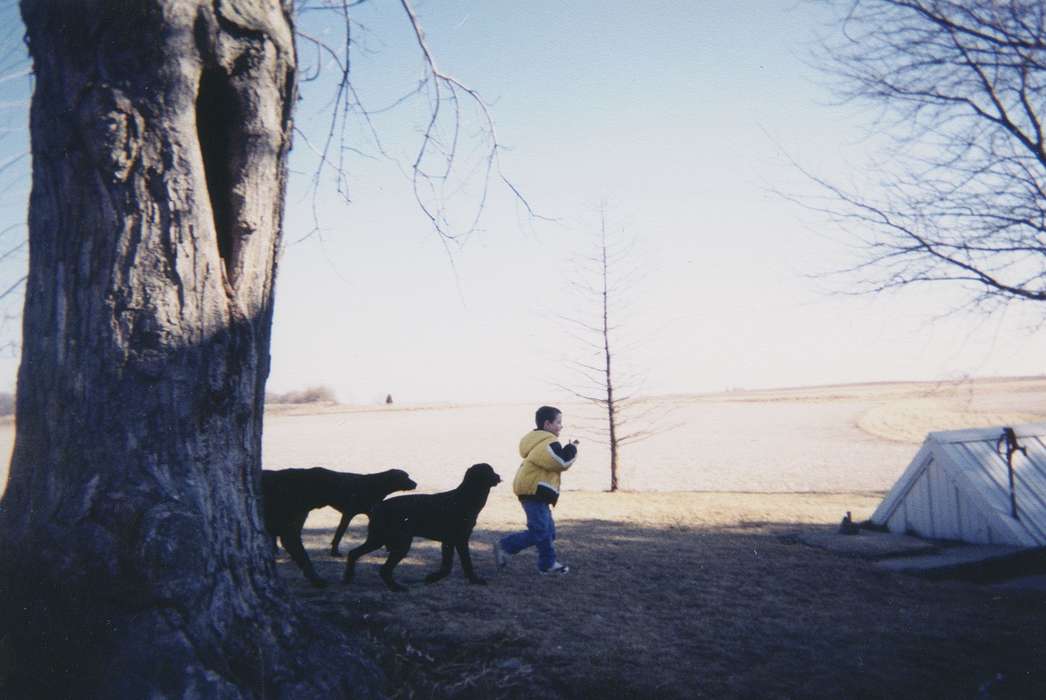 history of Iowa, Iowa History, DeWitt, IA, field, Animals, farm, Iowa, tree, Pacha, Pam, Farms, Children, dog