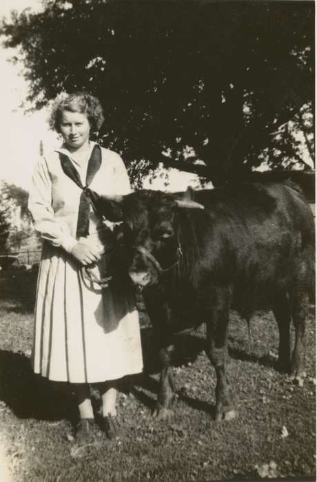 Iowa, Cedar Rapids, IA, Animals, 4-h, steer, Hilmer, Betty, Portraits - Individual, Farms, history of Iowa, bull, Iowa History