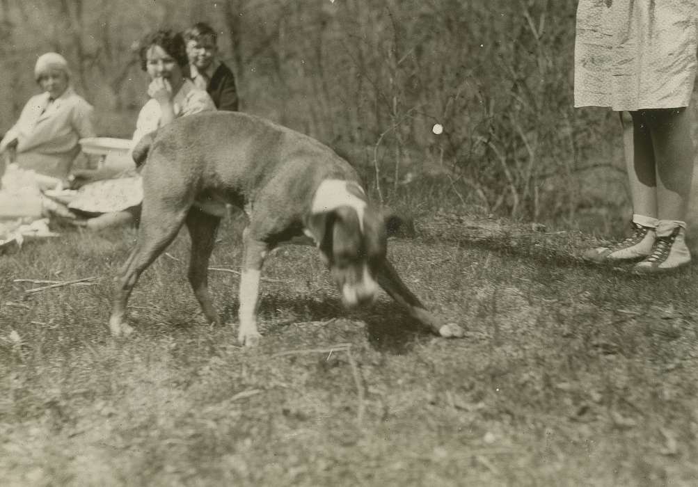 history of Iowa, Iowa History, Webster City, IA, Animals, Iowa, McMurray, Doug, Food and Meals, dog