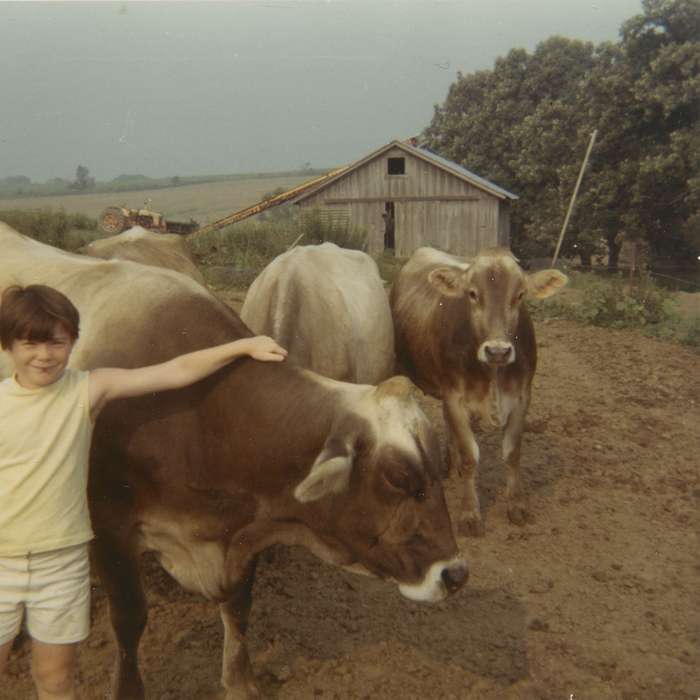 Portraits - Individual, Animals, cow, Barns, tree, Iowa, Iowa History, IA, brown swiss, Farms, barn, Scholtec, Emily, Children, history of Iowa