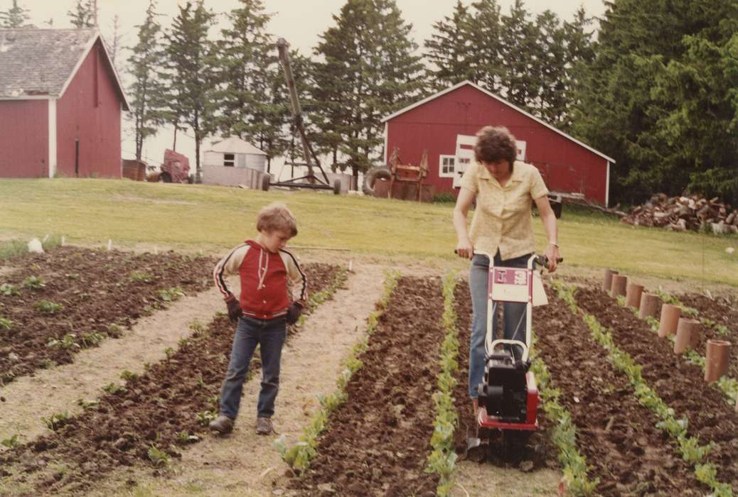 history of Iowa, Iowa History, Families, barn, woman, Barns, Blake, Gary, garden, farm, tiller, Iowa, boy, Farms, dirt, Children, Hazleton, IA