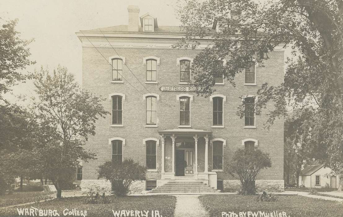 Iowa History, wartburg college, Iowa, history of Iowa, bush, Meyer, Sarah, Schools and Education, campus, electrical wires, Waverly, IA, college, tree