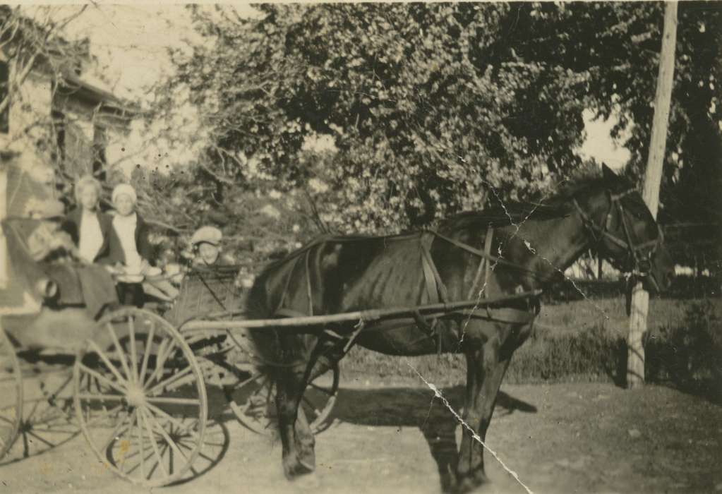 Portraits - Group, Glaser, Joseph, history of Iowa, Iowa History, Families, Animals, North Washington, IA, Iowa, carriage, Schools and Education, horse