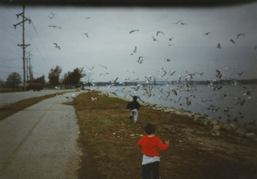 Iowa, bird, Pacha, Pam, Leisure, Children, LeClaire, IA, history of Iowa, seagull, Iowa History