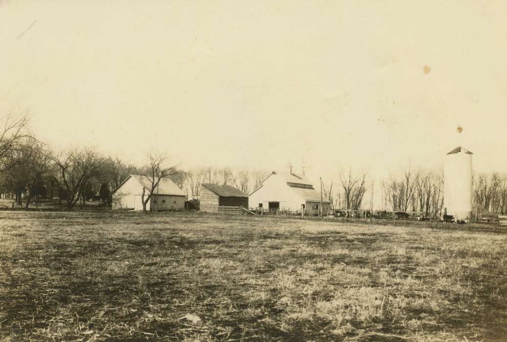 Vinton, IA, Animals, cow, Iowa History, Iowa, Hilmer, Betty, Farms, Barns, history of Iowa