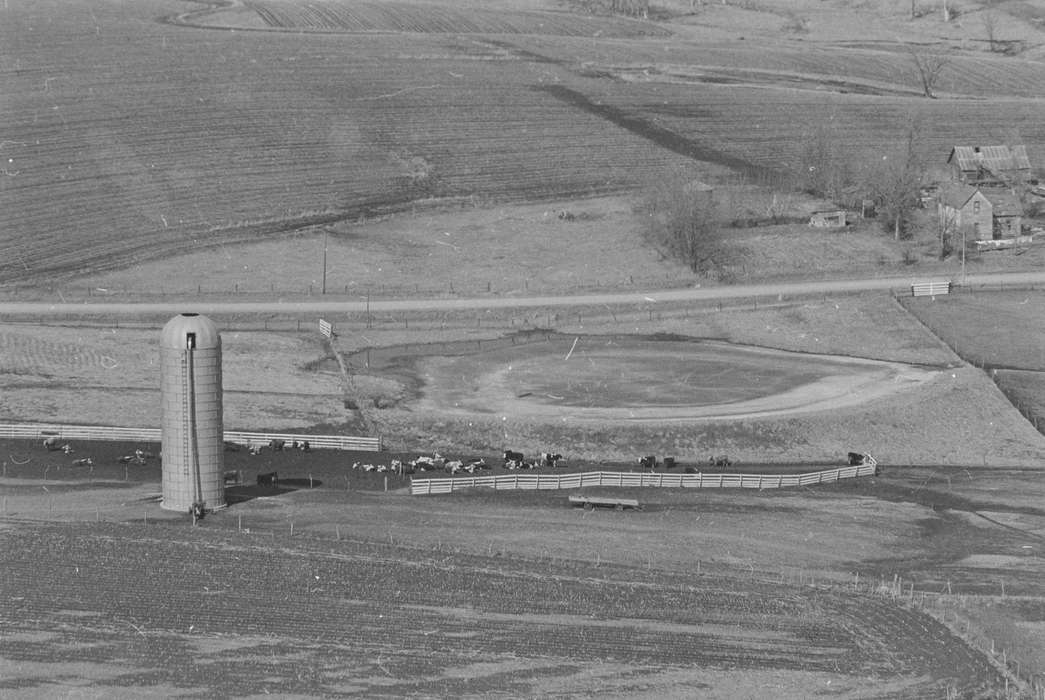 fence, history of Iowa, Iowa History, Ottumwa, IA, Lemberger, LeAnn, Animals, field, Aerial Shots, silo, Iowa, cow, Farms