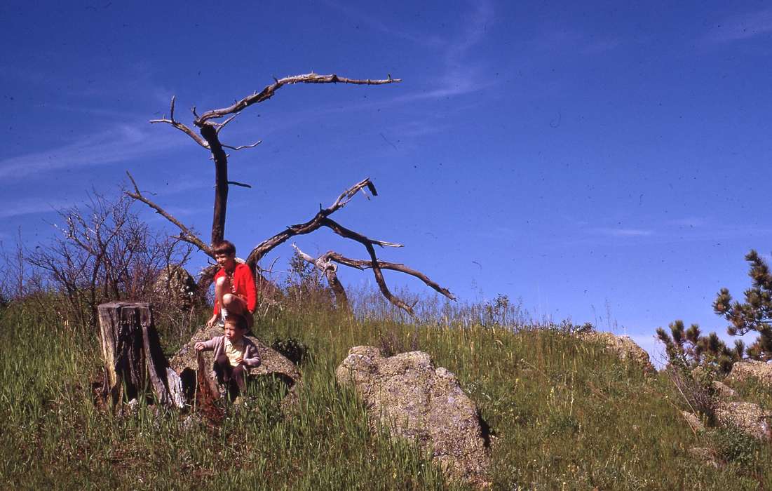 history of Iowa, Iowa History, trees, rock, grass, Iowa, Zischke, Ward, tree, USA, Children