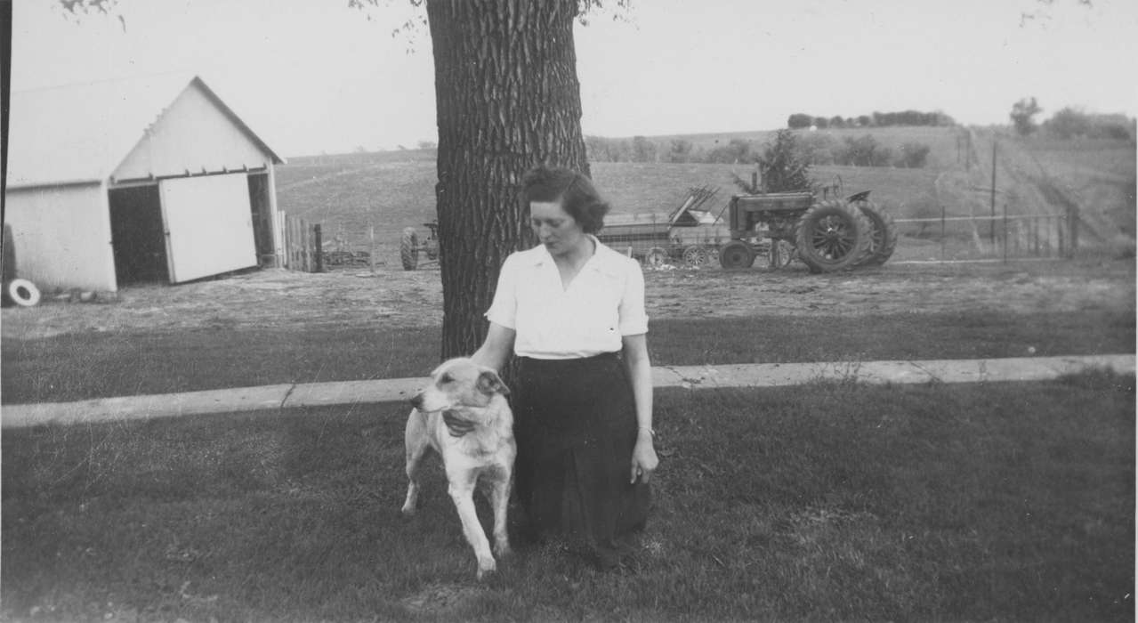 Iowa, Animals, Ainsworth, IA, dog, Edmund, Sharon, field, Farming Equipment, Farms, tractor, history of Iowa, Iowa History